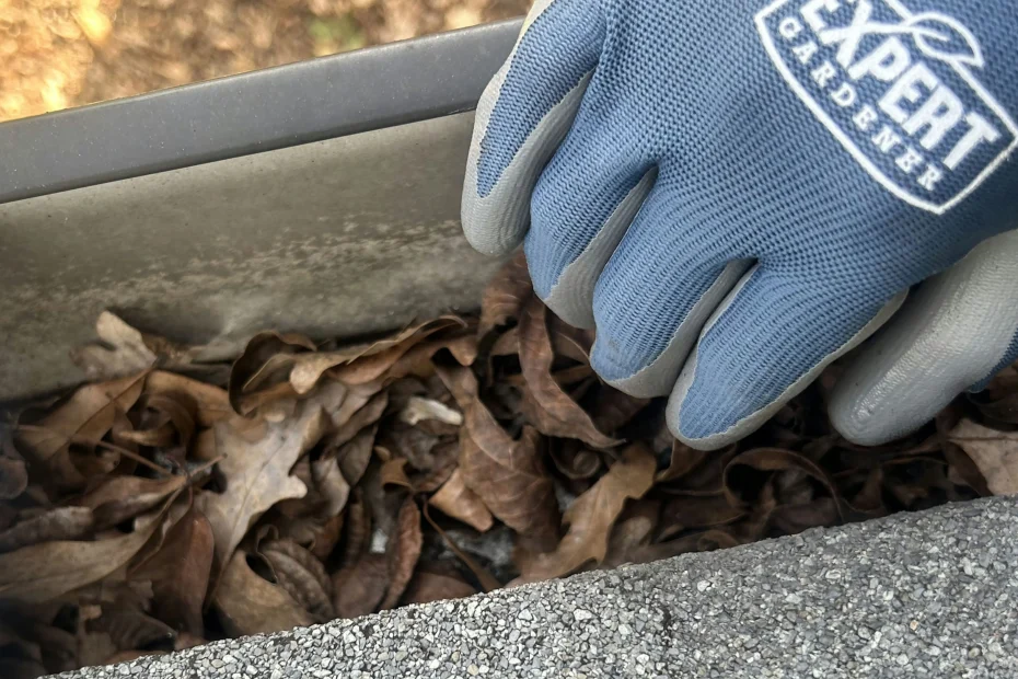 Gutter Cleaning Carolina Beach