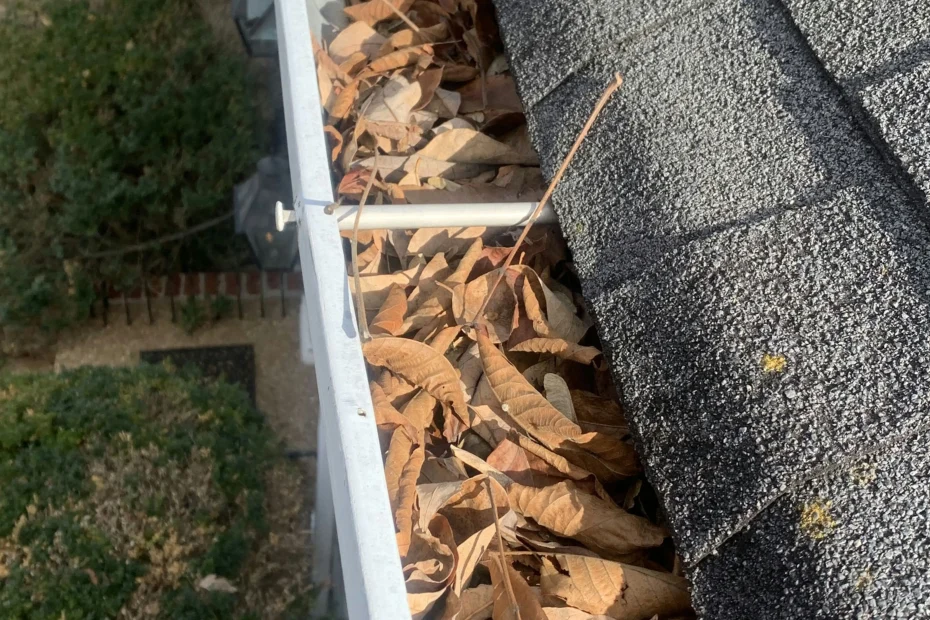 Gutter Cleaning Carolina Beach