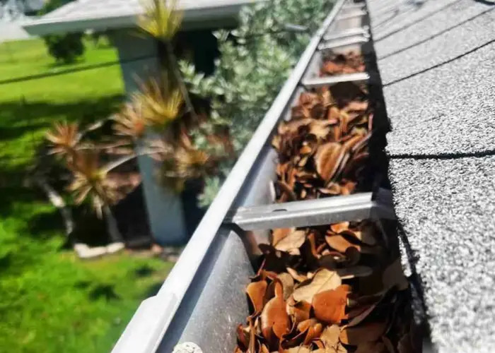 Gutter Cleaning Carolina Beach home page